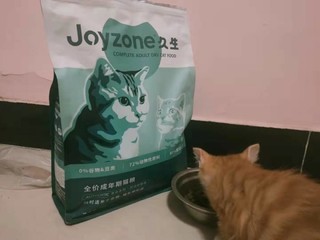 自家​猫咪挑食怎么办？