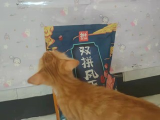 ​无谷猫粮/告别软便少操心