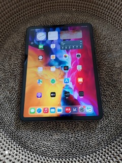 廉颇老矣-ipadpro2020