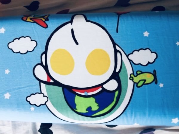 120元买了两个乳胶枕头！真香！