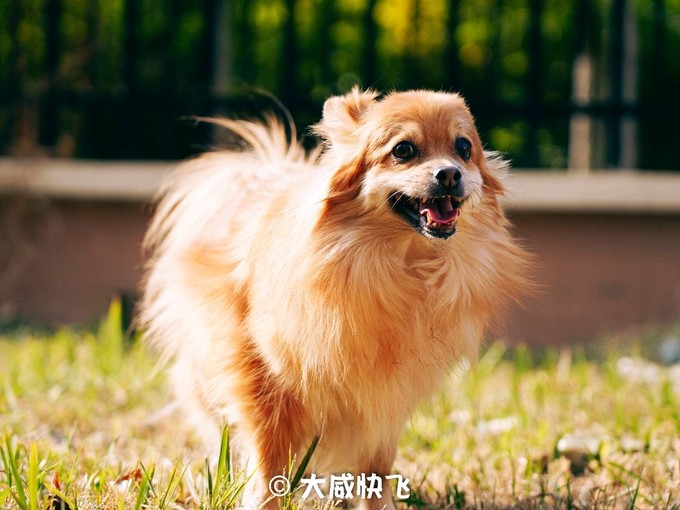 索尼单电相机