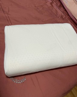 ParatexECO乳胶枕