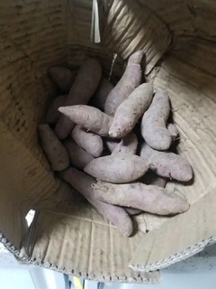 新鲜减肥中紫薯