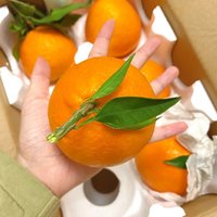 网红爱媛38号果冻橙，到底是什么神仙水果