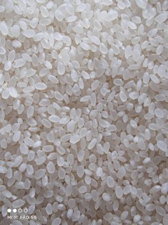京东线上特供大米。