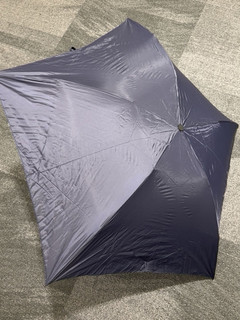 买了很多把的wpc超轻雨伞