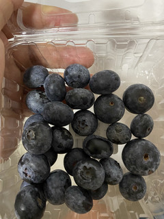 蓝莓控首选怡颗莓，我心中的yyds！