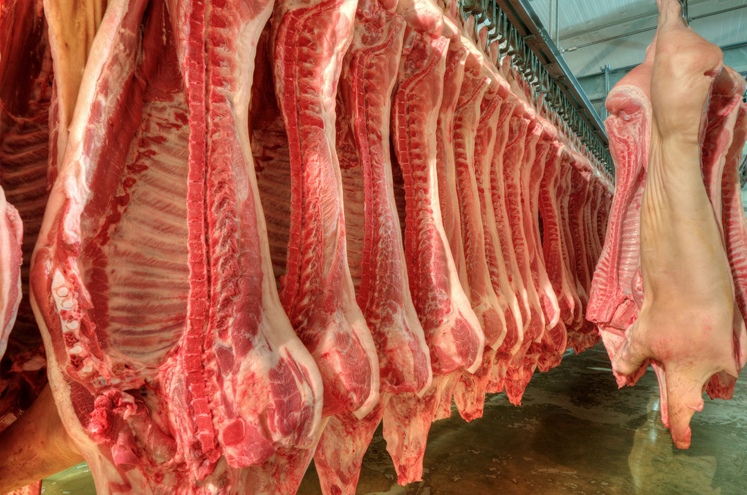 食客：人类高质量牛肉是如何炼成的？健康、口味缺一不可！