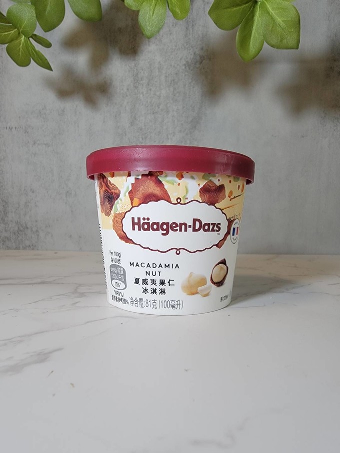 哈根达斯冰淇淋/雪糕