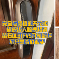 安全与颜值的天花板，旗舰级人脸视频锁——萤石DL31FVS开箱简评，不只是解放双手