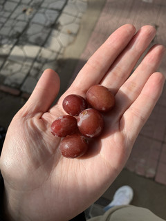 冰冻葡萄🍇也太可了吧