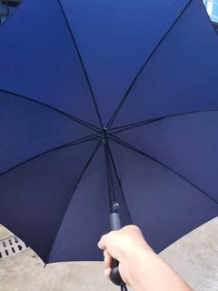 雨伞