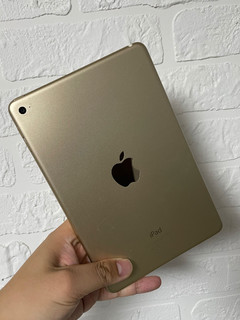 我感觉还能再战一年之ipadmini4