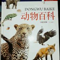 动物的百科全书小孩子的启蒙读物