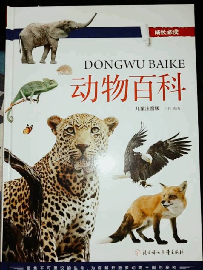动物的百科全书小孩子的启蒙读物
