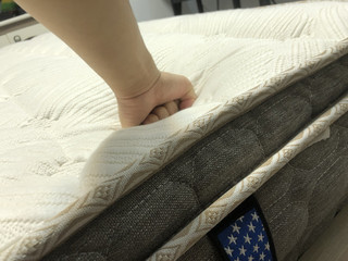 伊丽丝LS竹炭乳胶吸湿防螨床垫