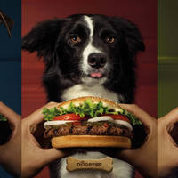 狗也能吃的汉堡？韩国汉堡王推出宠物友好菜单