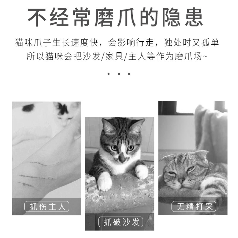 养猫九年老铲屎官告诉你那些值得买的猫猫用品