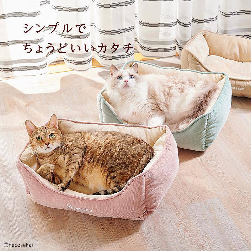 养猫九年老铲屎官告诉你那些值得买的猫猫用品