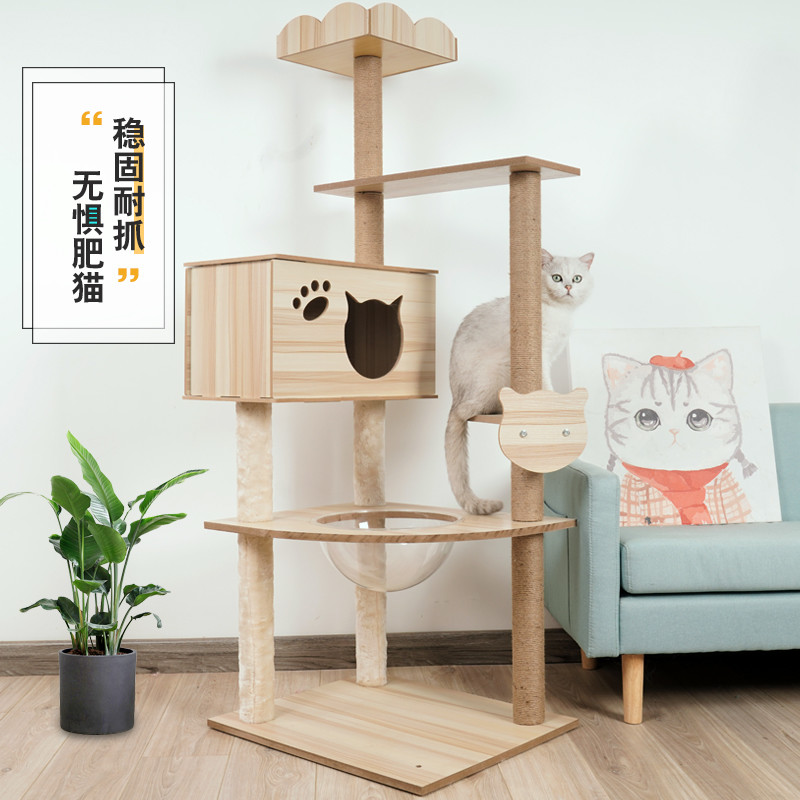 养猫九年老铲屎官告诉你那些值得买的猫猫用品