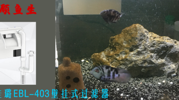 照顾鱼生 篇一：森森佳璐EBL-403壁挂式过滤器 