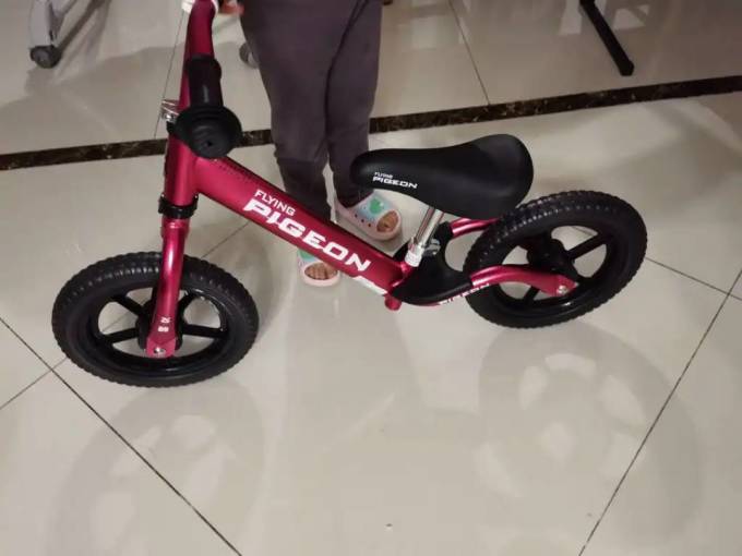 飞鸽平衡车