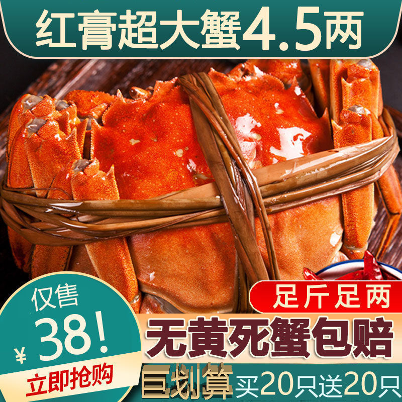 10家店铺购入100只大闸蟹，只为了给大家选出那个最好的渠道！（我是小宁 一个认真做测评的达人）
