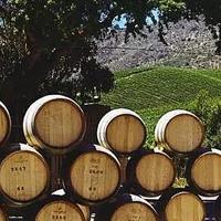 卡萨布兰卡谷：智利白葡萄酒的代名词