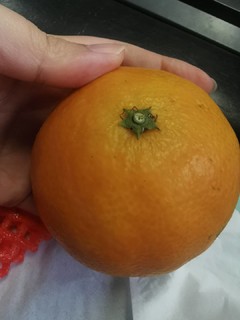 水水嫩嫩的小橙子