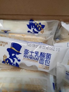 美味乳酸菌小面包