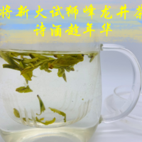 zhuan心评测 篇十四：且将新火试狮峰龙井茶，诗酒趁年华——狮峰明前龙井茶品鉴