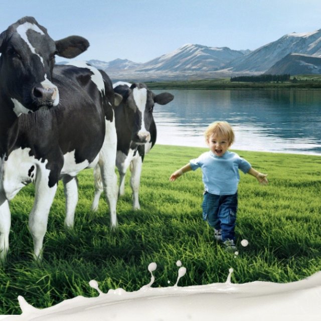  双11种草清单：市场份额逐年上升！国产奶粉哪些值得购买？