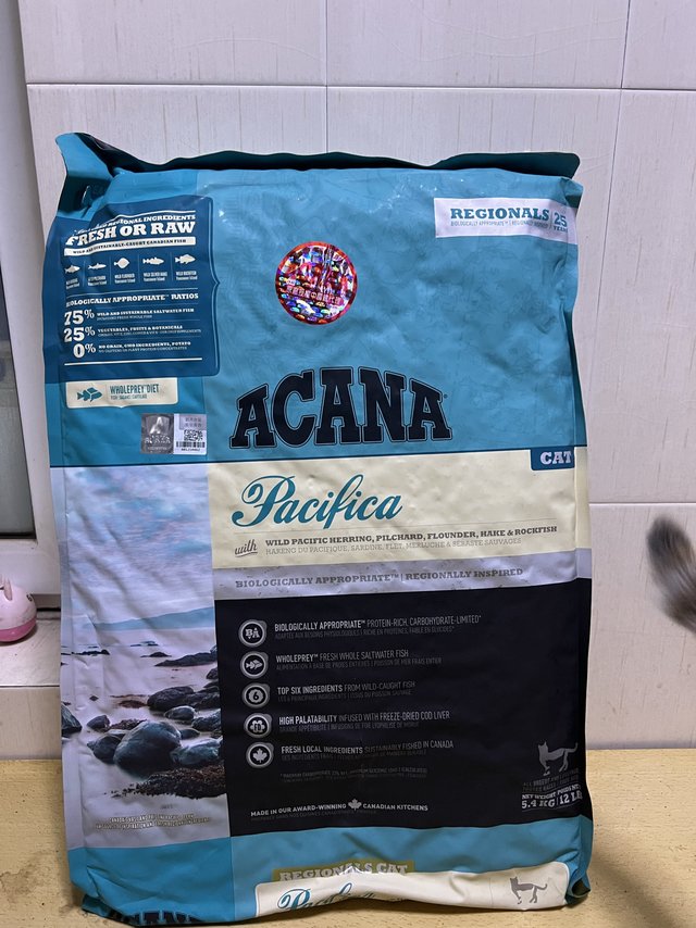 有口皆碑的高级猫粮爱肯拿