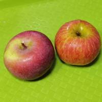 【晒物】大凉山苹果，不大但是挺甜