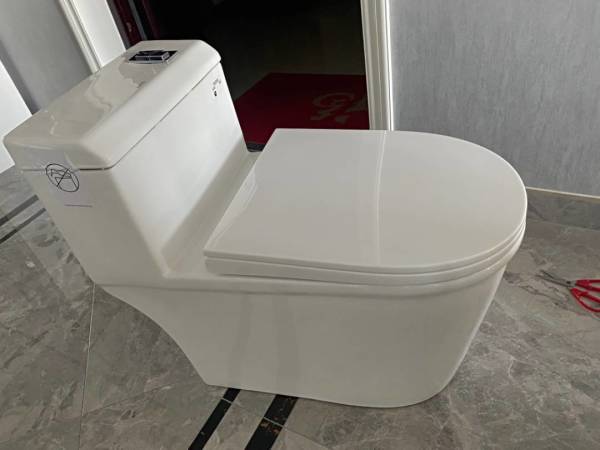 toto东陶马桶cw854sb