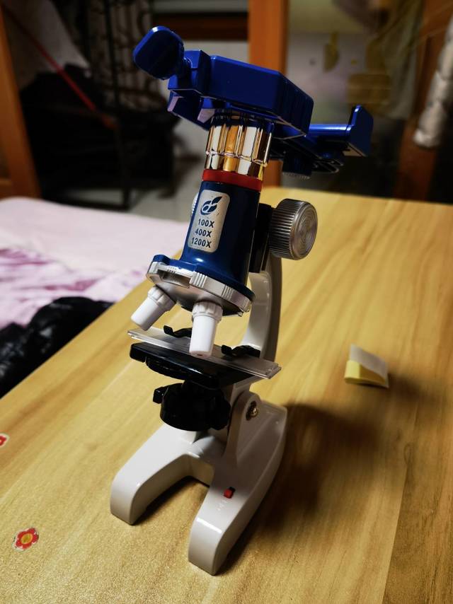 雷龙儿童显微镜100X~1200X