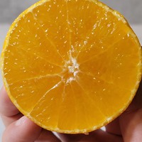 爱媛果冻橙能不能称得上最好吃的橙子🍊