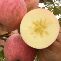爱吃苹果的值友有口福咯，难得今年可以吃到霜降后的洛川苹果，网购水果攻略之--洛川苹果