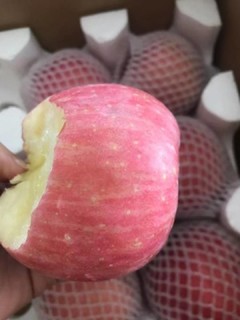 洛川苹果，国货之光