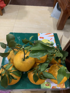 第一次网购且吃爱媛38号果冻橙的体验