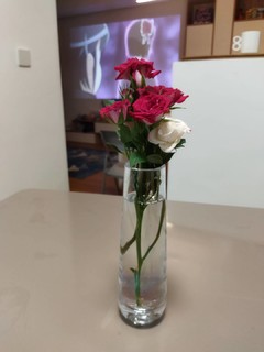 LSA简洁幻彩小花瓶
