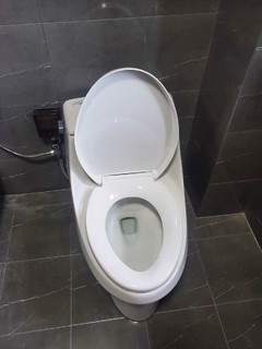 KOHLER 科勒 圣拉菲尔连体坐便器