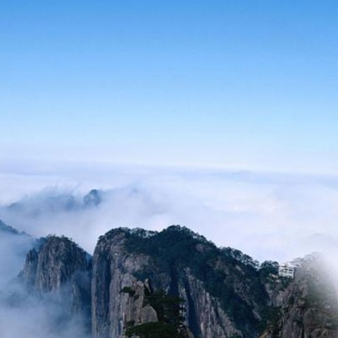 烧水杯横向评测：出行如何实现热水自由？只需一款东菱轻量烧水杯