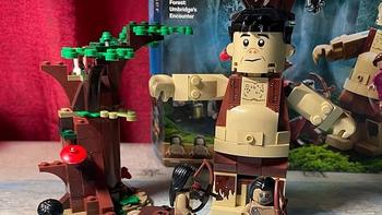 樂祺的乐高LEGO 篇二十九：哈利波特系列，75967乌姆里奇的遇见测评
