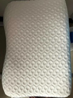 芝华仕 乳胶枕