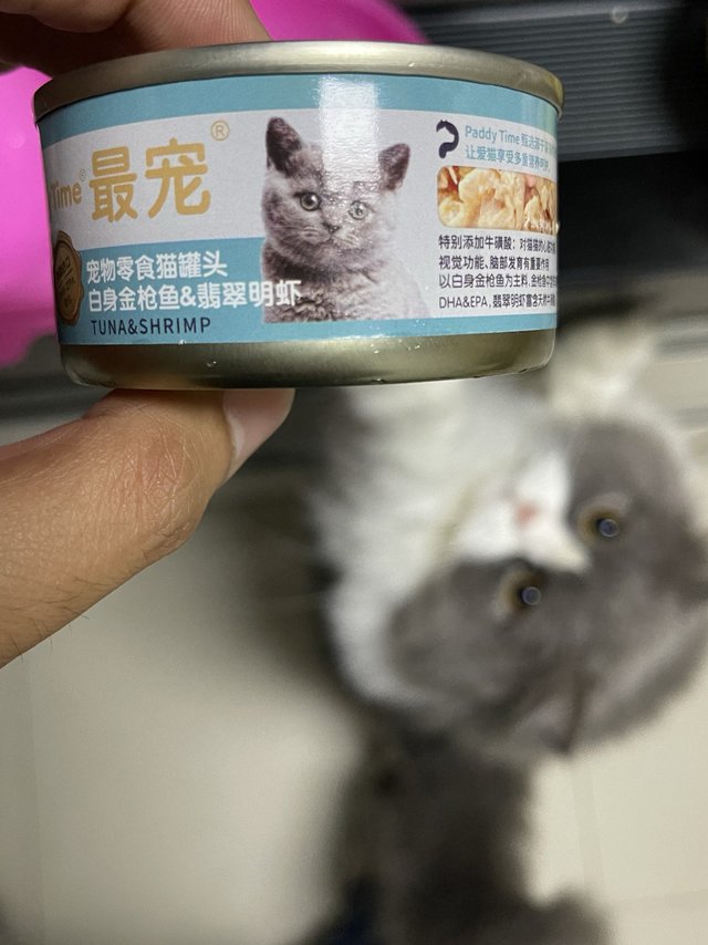 吾主的测试一、最宠宠物零食猫罐头
