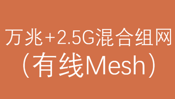 万兆+2.5G混合组网（有线Mesh）