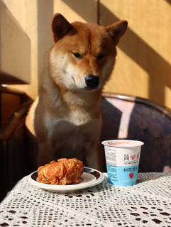 狗狗最爱零食 麦富迪鸡肉牛皮圈