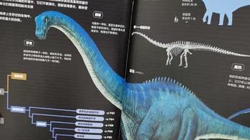 家有恐龙迷？这本恐龙科普绘本你一定要拥有  《小学馆大百科 恐龙》