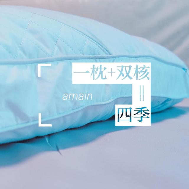 一枕 双核 四季——一个好枕头